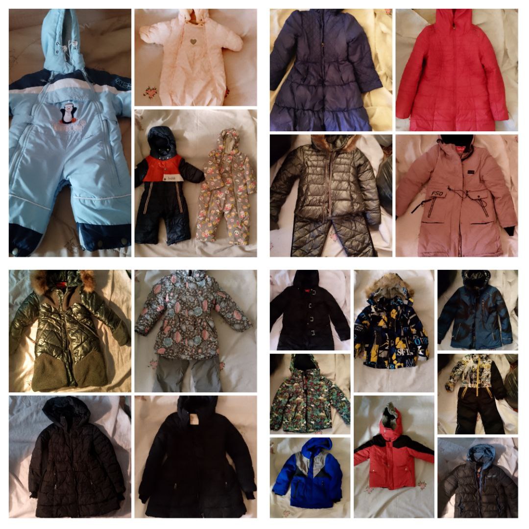 Отдам за вкусняшки - Животные в Братск