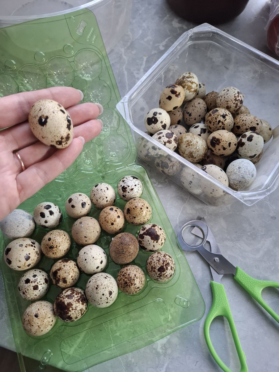 Продам свежее перепелиное яйцо - Товары для детей в Братск