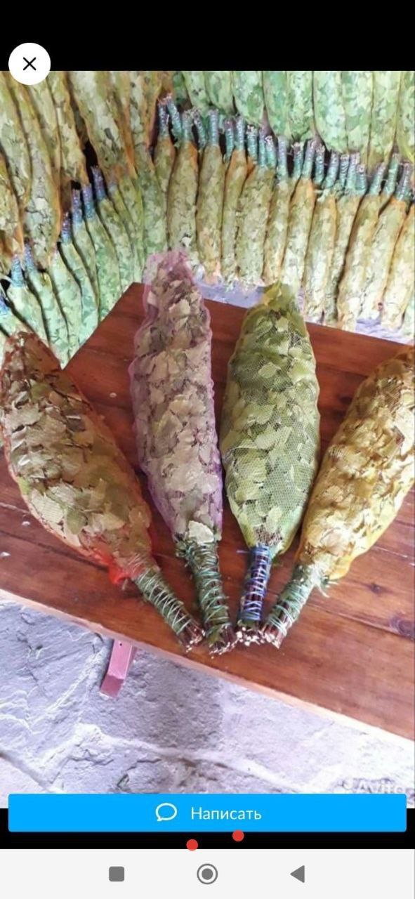 Продам берёзовые веники для бани - Хобби и отдых в Братск