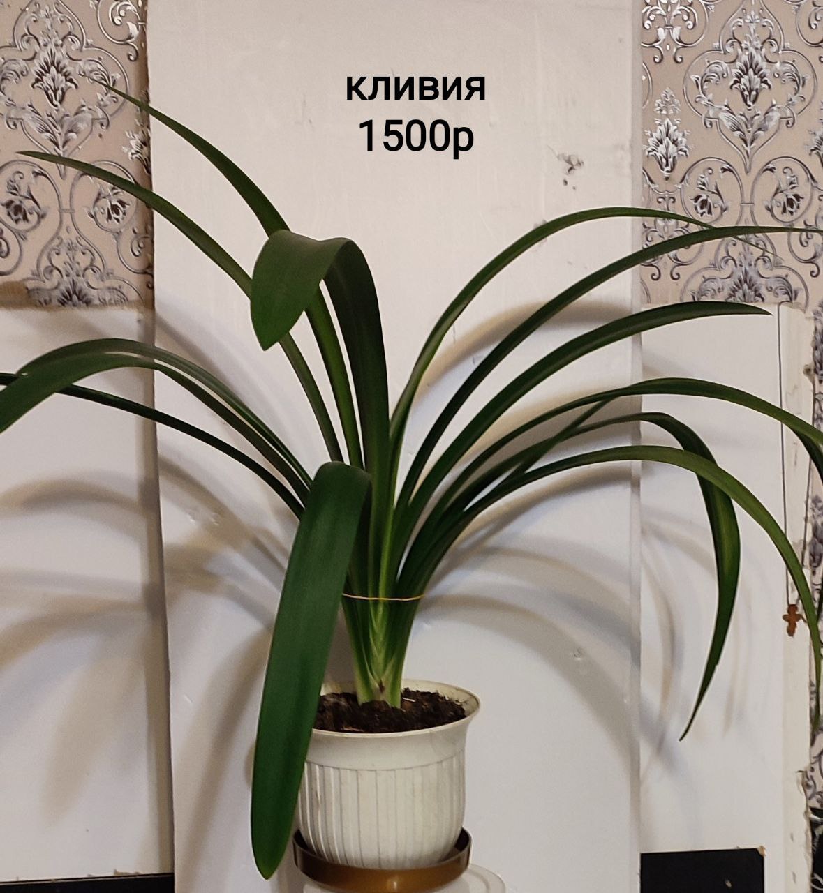 Барахолка Тюмень - Хобби и отдых в Тюмень - фото 4