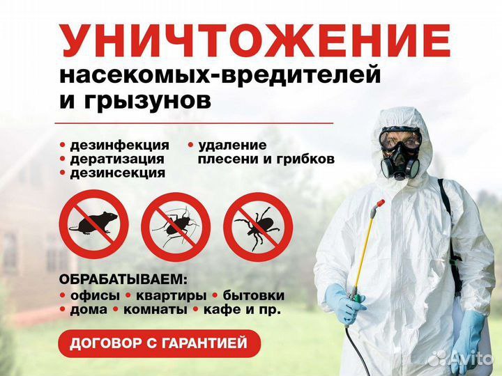 Реклама в Краснодаре - Услуги в Краснодар