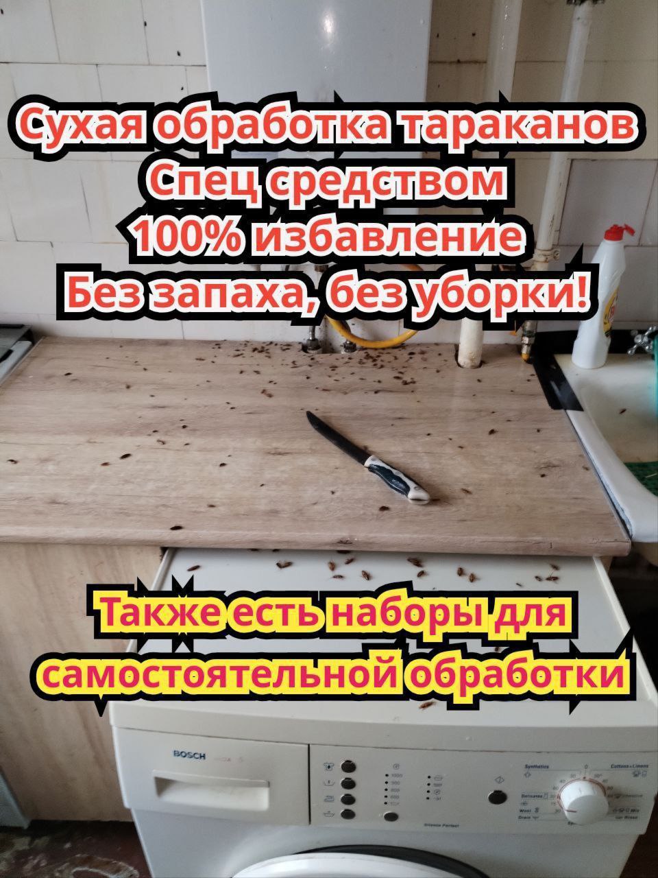 Обработка домов и квартир от насекомых - Услуги в Самара