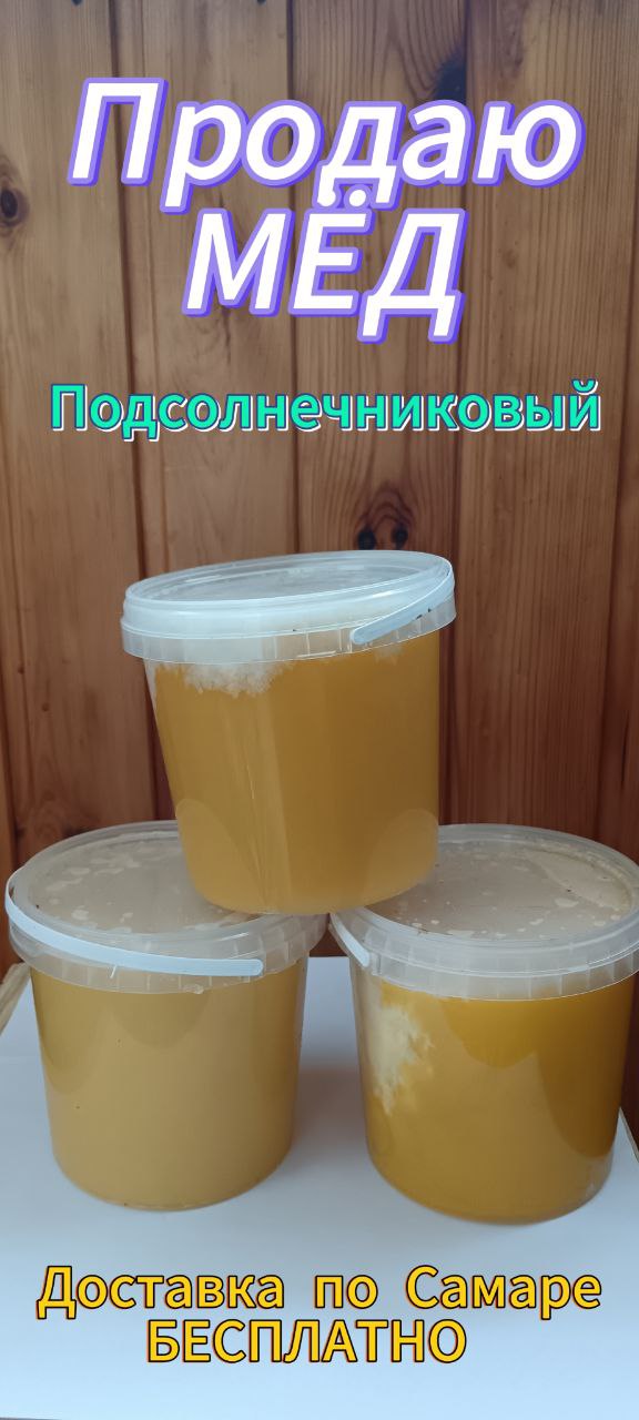 Продажа подсолнечникового меда с пасеки - частное объявление в Самара