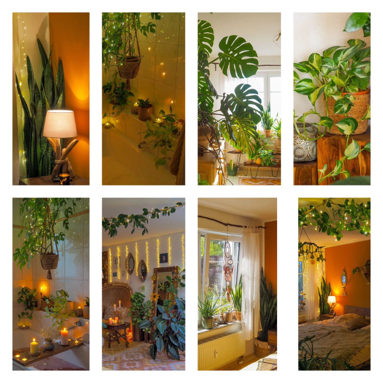 Продам комнатные цветы - Хобби и отдых в Оренбург