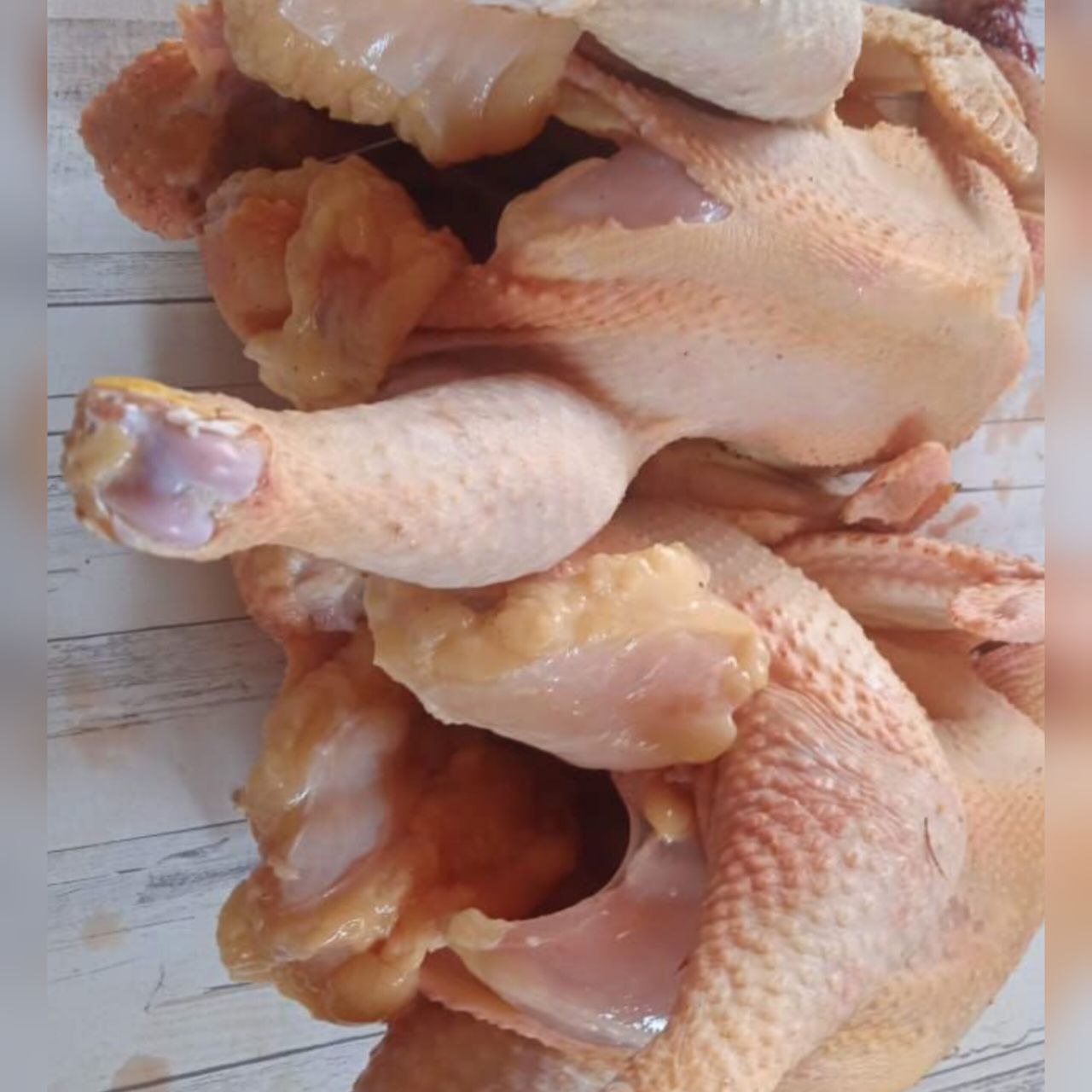 Предзаказы на мясо петушков мини мясной породы - частное объявление в Оренбург