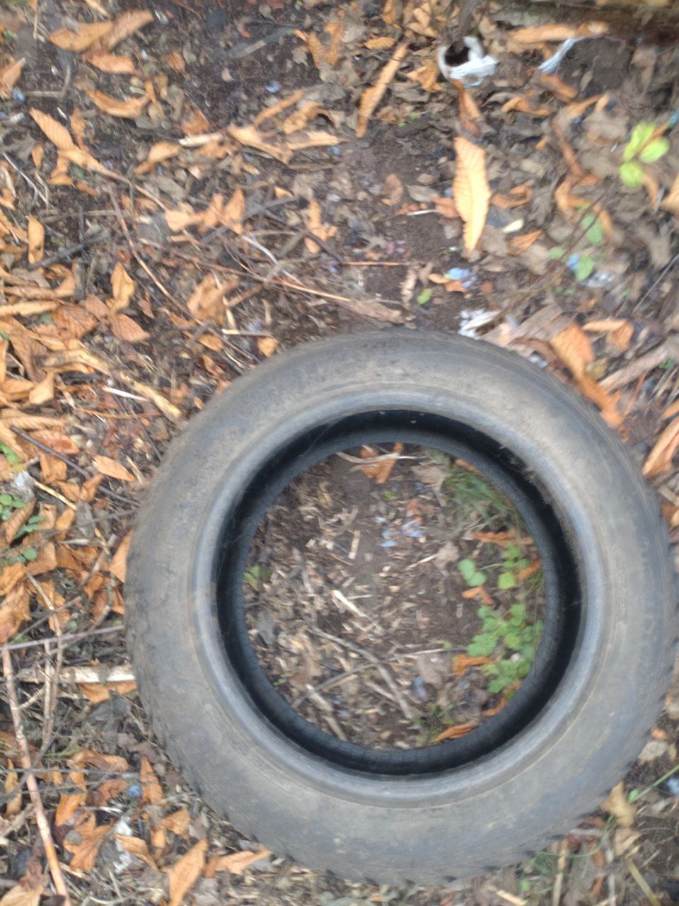 Колеса с дисками и шины от Форда Фокус R16 - Авто в Оренбург