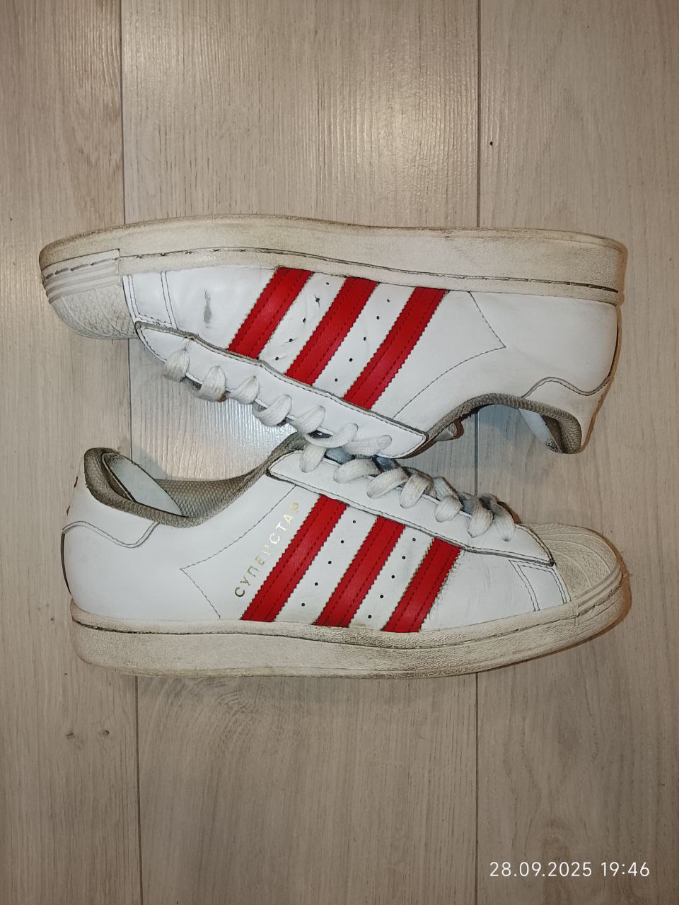 Адидас суперстар и DSQUARED2 кофта - Одежда в Астрахань