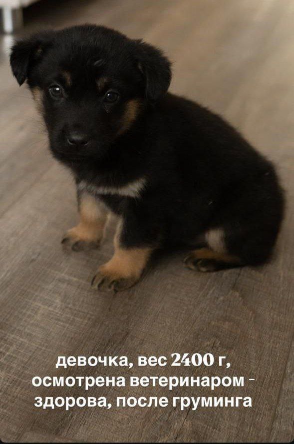 Объявления Нижний Новгород и Область - Услуги в Нижний Новгород