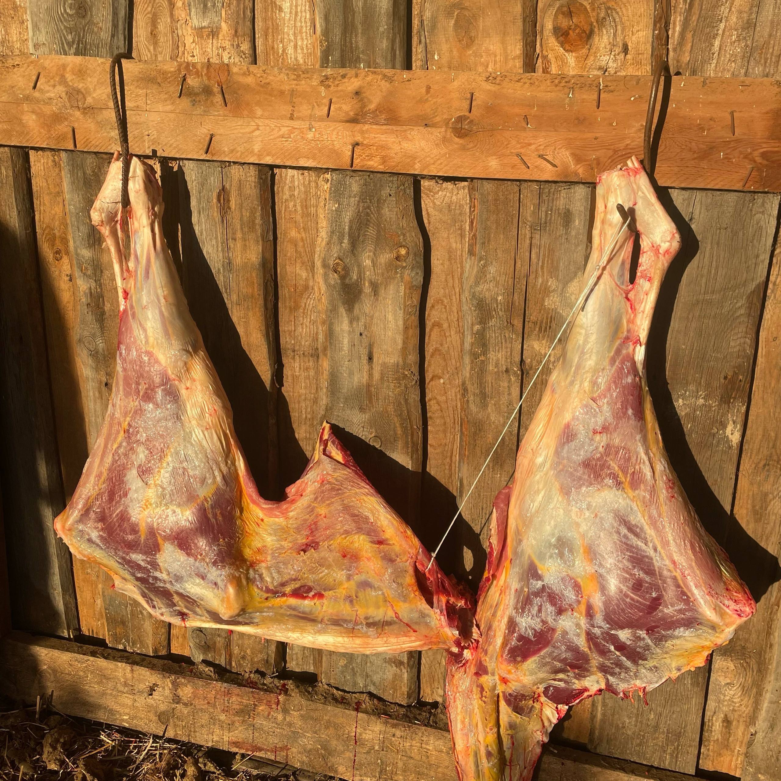 Продам мясо тёлочки - Животные в Иркутск