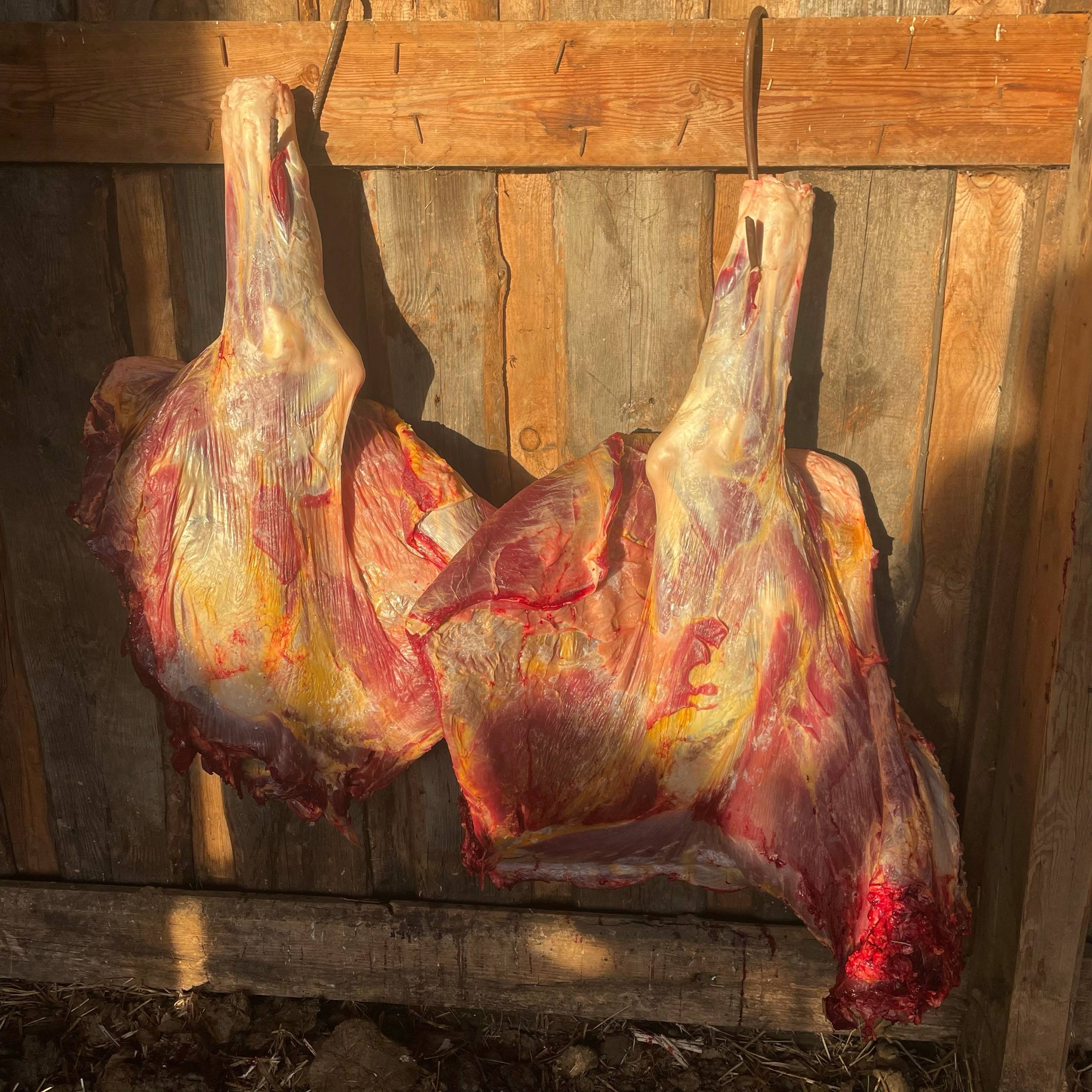 Продам мясо тёлочки - Животные в Иркутск - фото 2