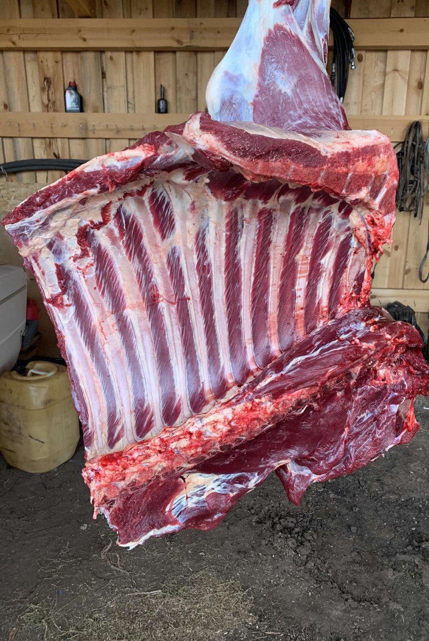 Набор покупателей на мясо говядины - Животные в Иркутск