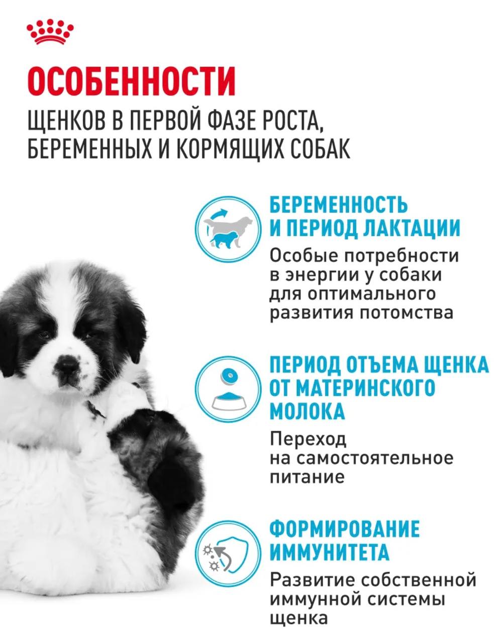 Продам корм 3-3,5 кг - Товары для детей в Иркутск - фото 2