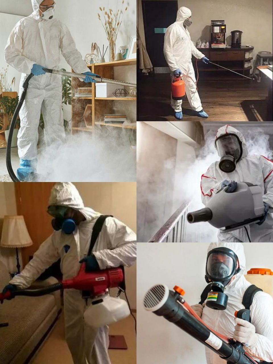 ДезСургут - уничтожение грызунов и насекомых - частное объявление в Сургут