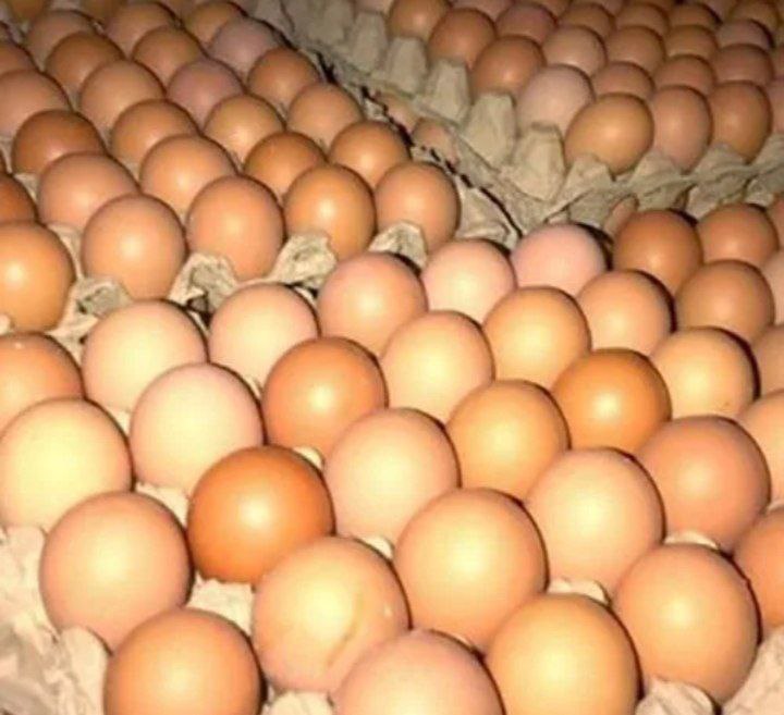 Домашние свежие крупные яйца - Для дома и дачи в Орск