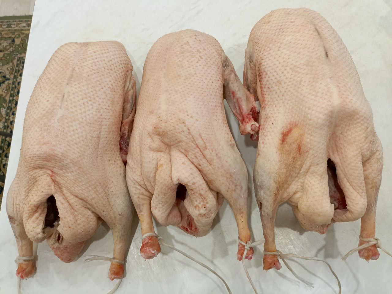 Продажа тушек домашних гусей халяль - Животные в Ульяновск