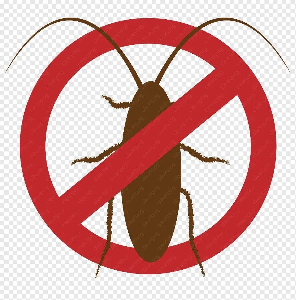 Уничтожение тараканов - Услуги в Ульяновск