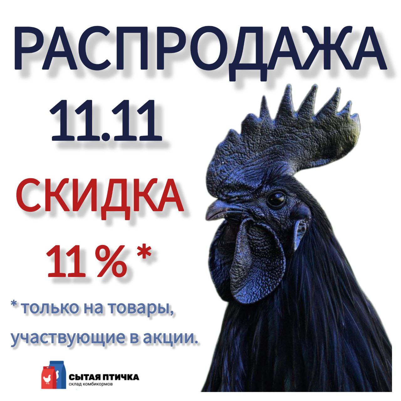 Черная пятница курица - Животные в Ульяновск