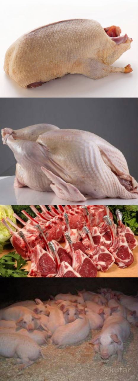 Продажа мяса гуся, индейки, баранины и поросят - Животные в Ульяновск