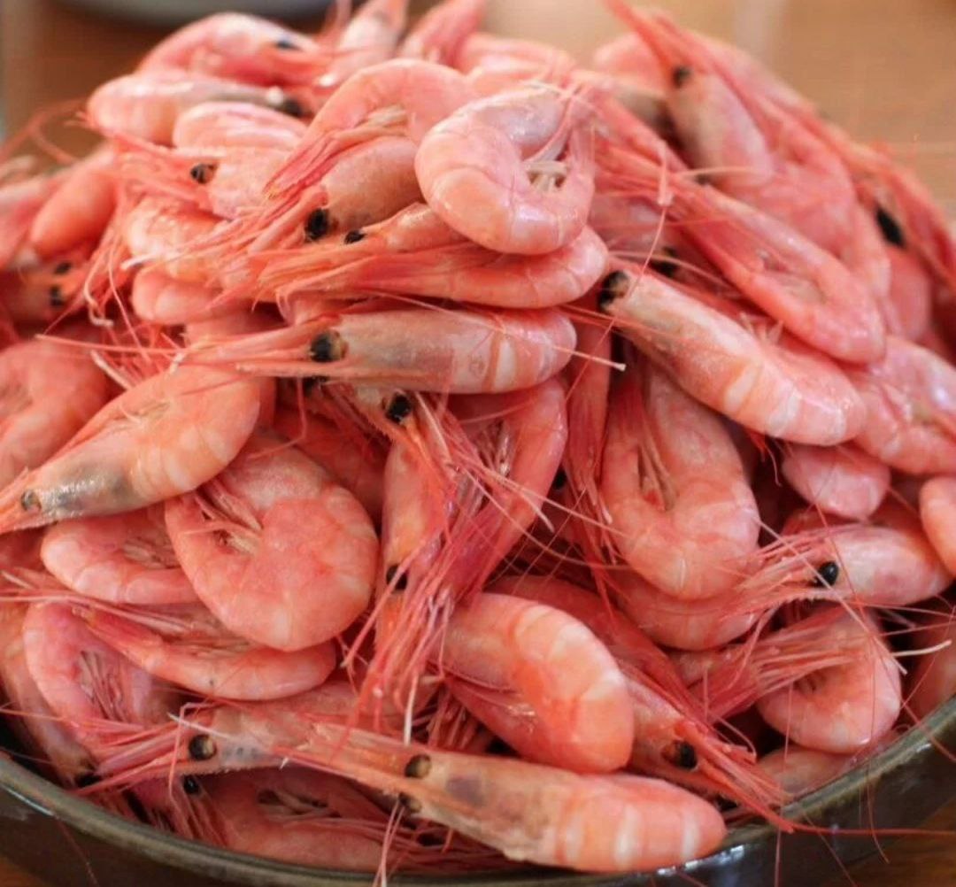 Продажа рыбы и морепродуктов - Хобби и отдых в Самара