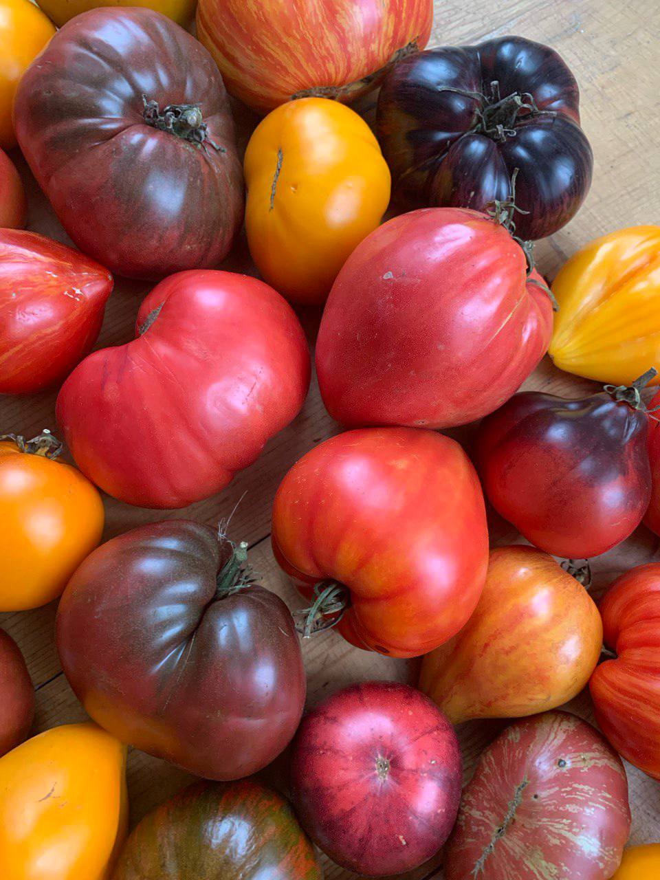 Семена томатов отечественной и зарубежной селекции - Для дома и дачи в Иркутск