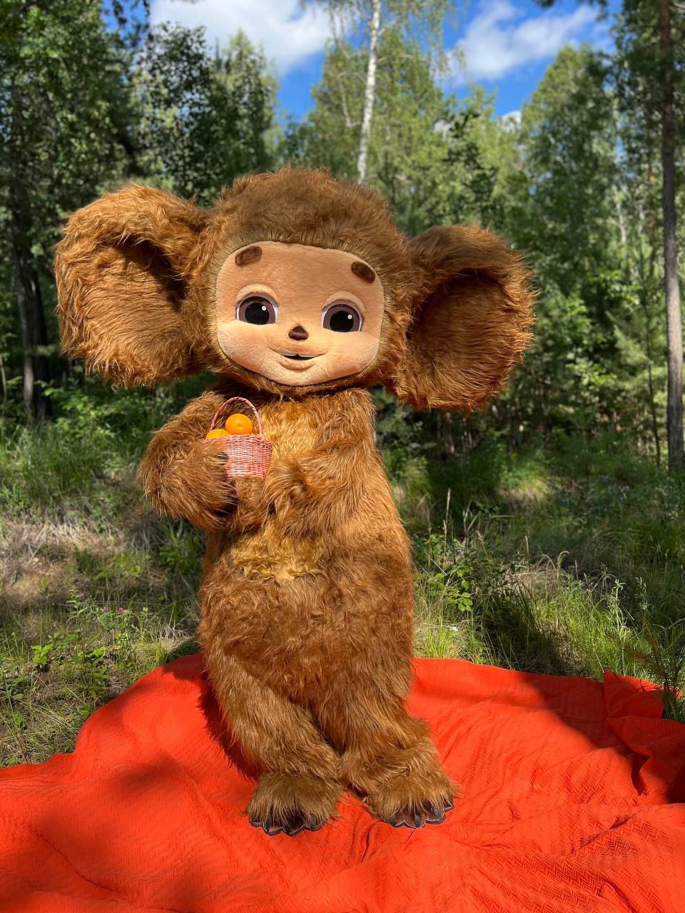 Праздник в твоих руках - Услуги в Иркутск - фото 3