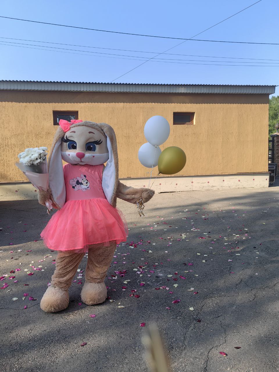 Праздник в твоих руках - Услуги в Иркутск - фото 6