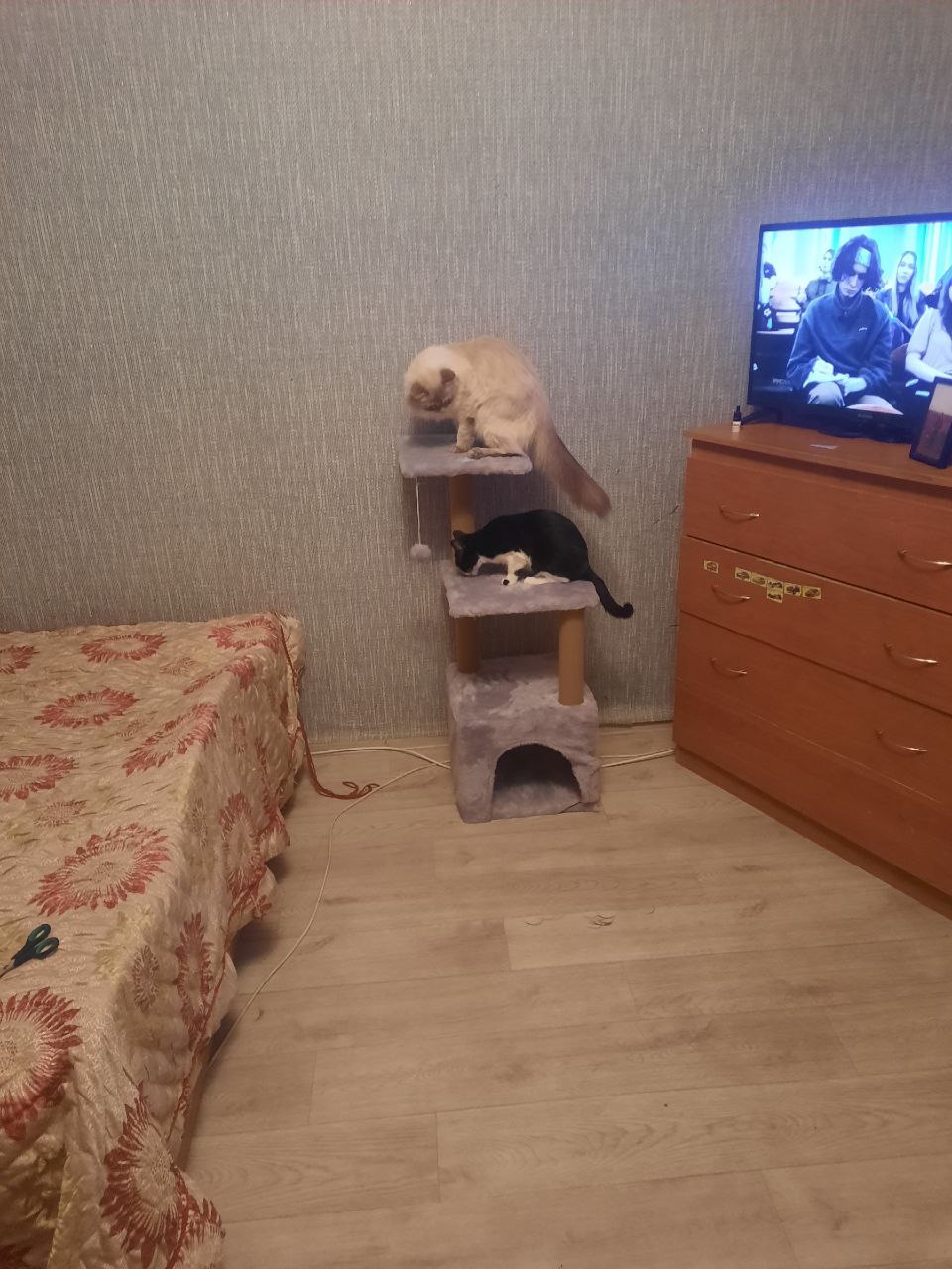 Продам барахолка - Хобби и отдых в Улан-Удэ - фото 2