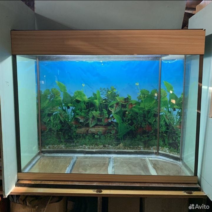 Продажа аквариума 200 л - частное объявление в Новороссийск