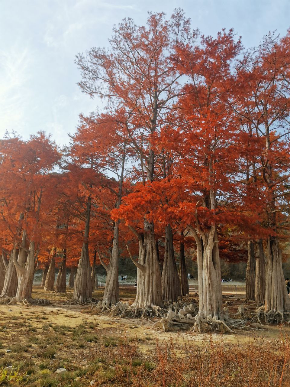 Тур выходного дня - Хобби и отдых в Новороссийск