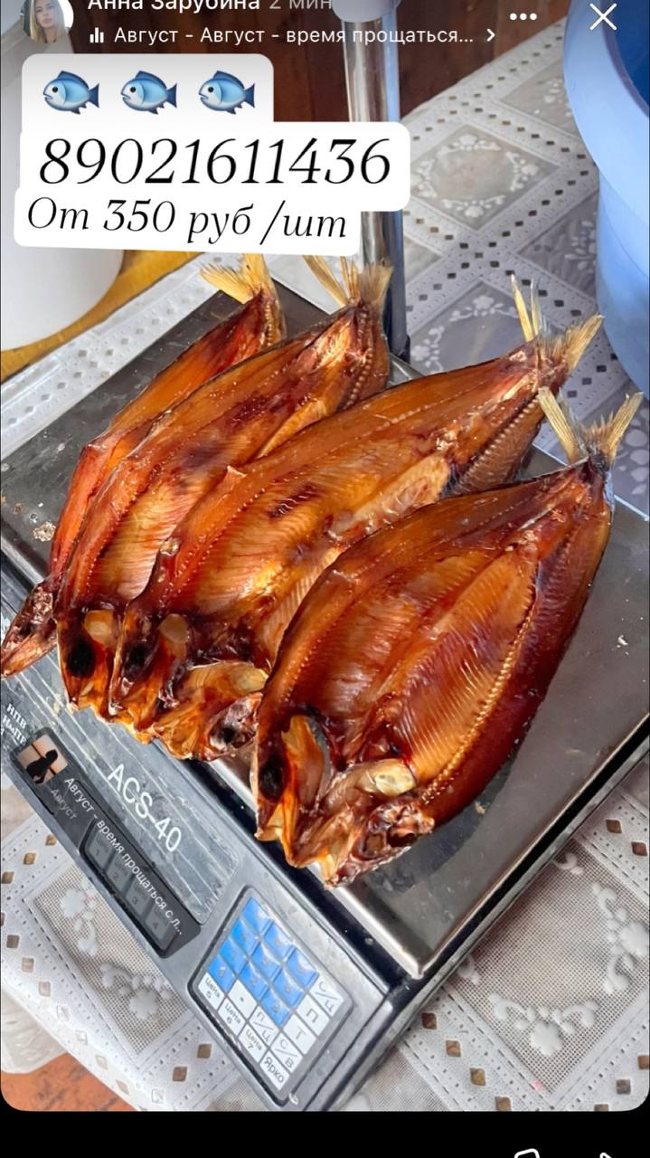 Рыбки - Животные в Улан-Удэ