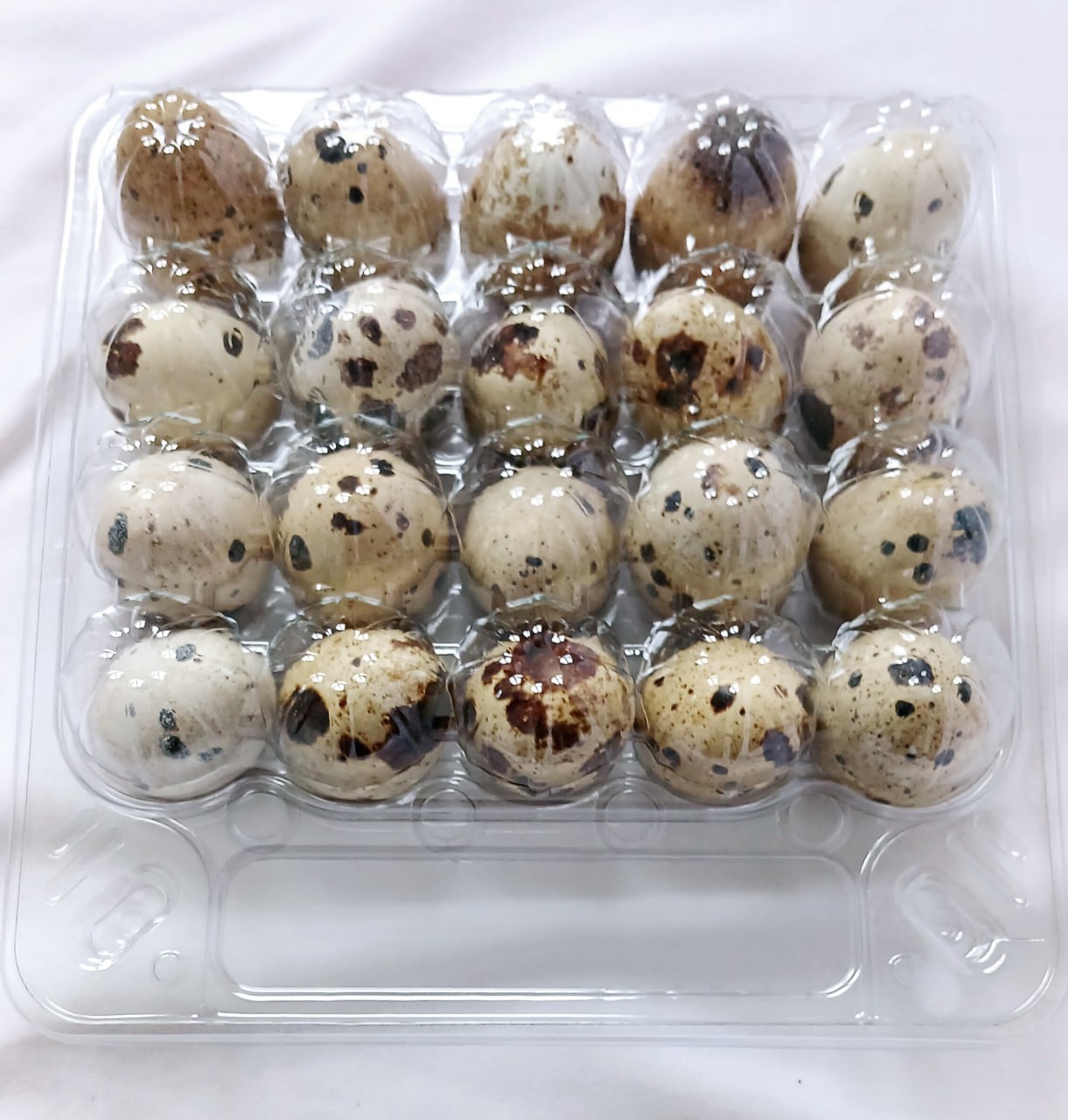 Продам Перепелиное Яйцо - частное объявление в Абакан