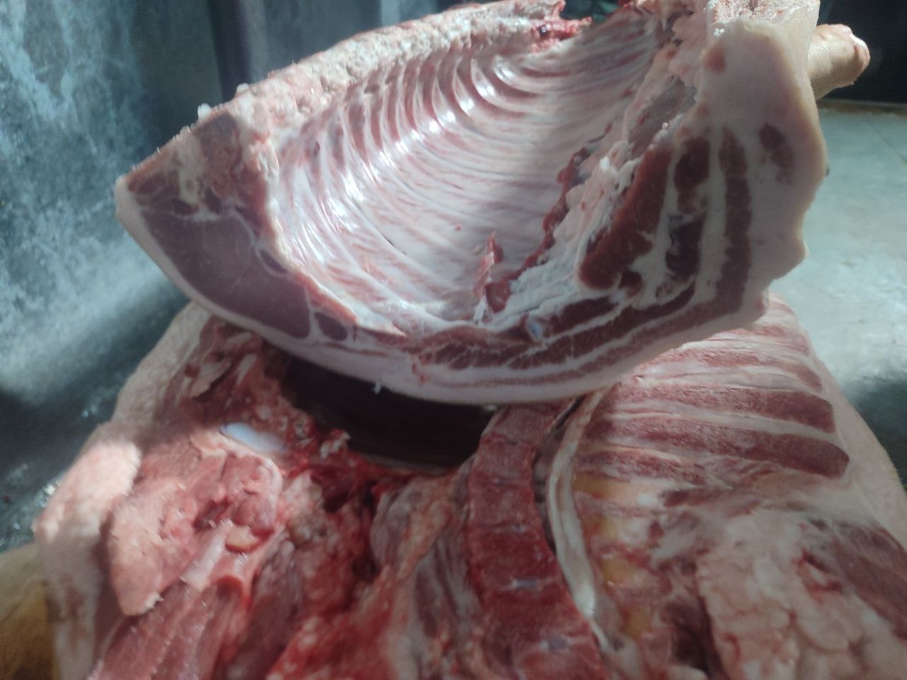 Продажа мяса свинины и баранины - Животные в Красноярск - фото 3