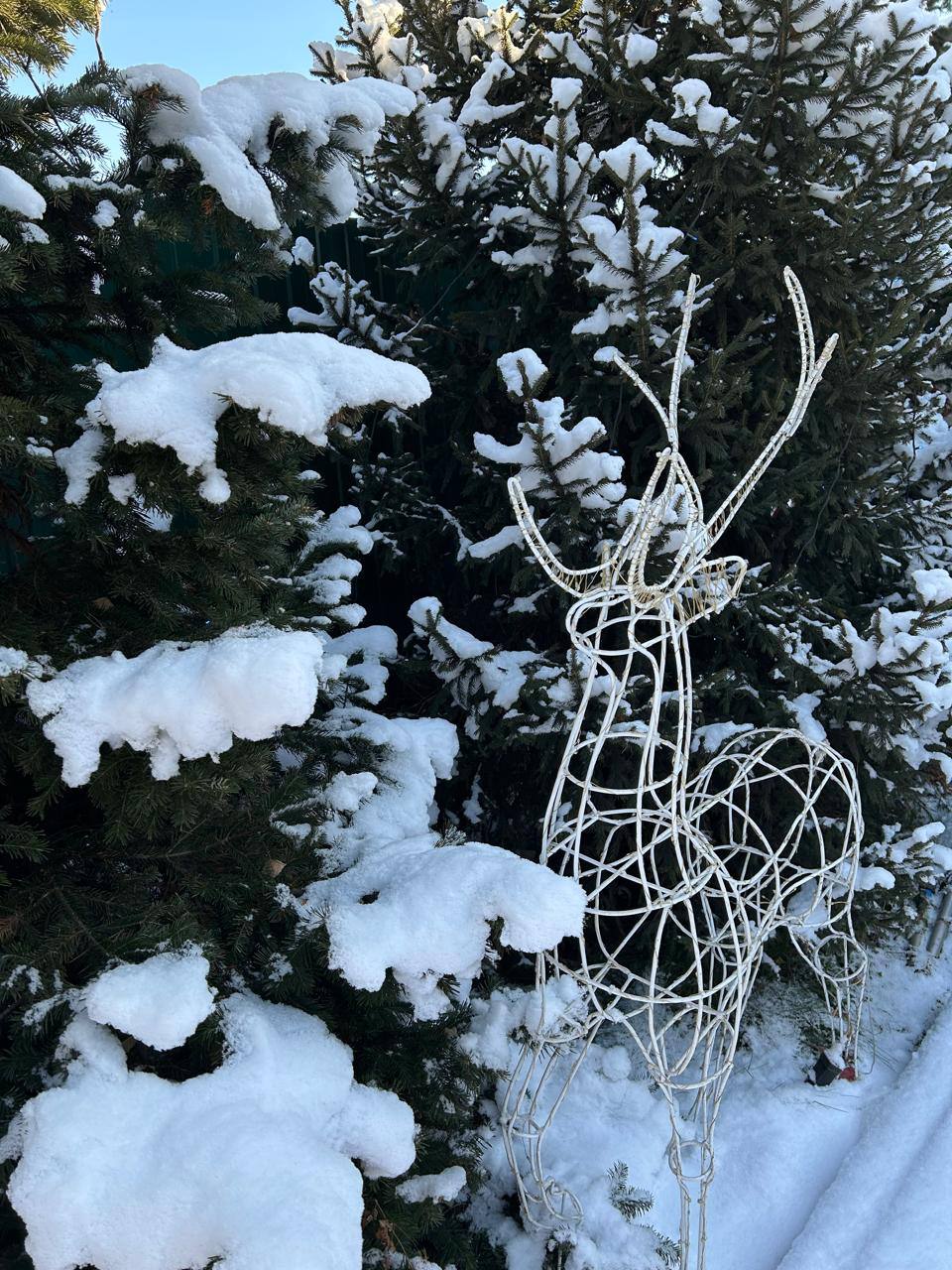 Новогодние уличные олени - Хобби и отдых в Красноярск - фото 2