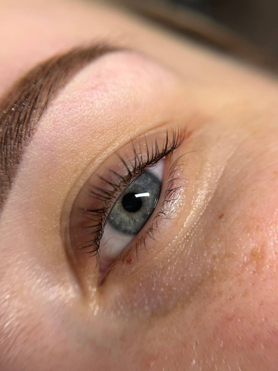 Ламинирование ресниц и бровей по спец. цене - частное объявление в Красноярск