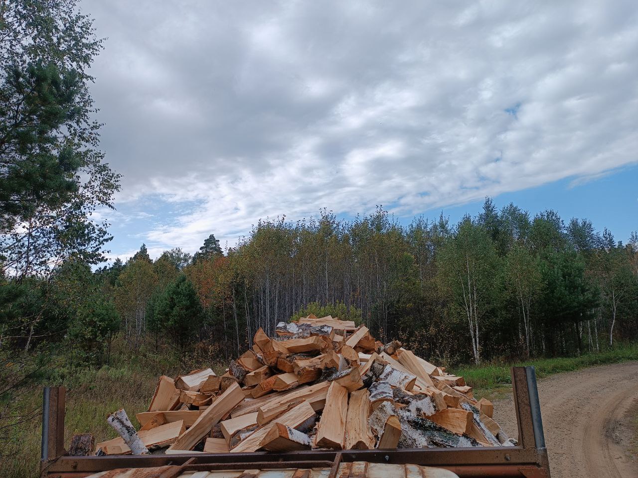 Свежие дровищки из леса - Для дома и дачи в Тюмень