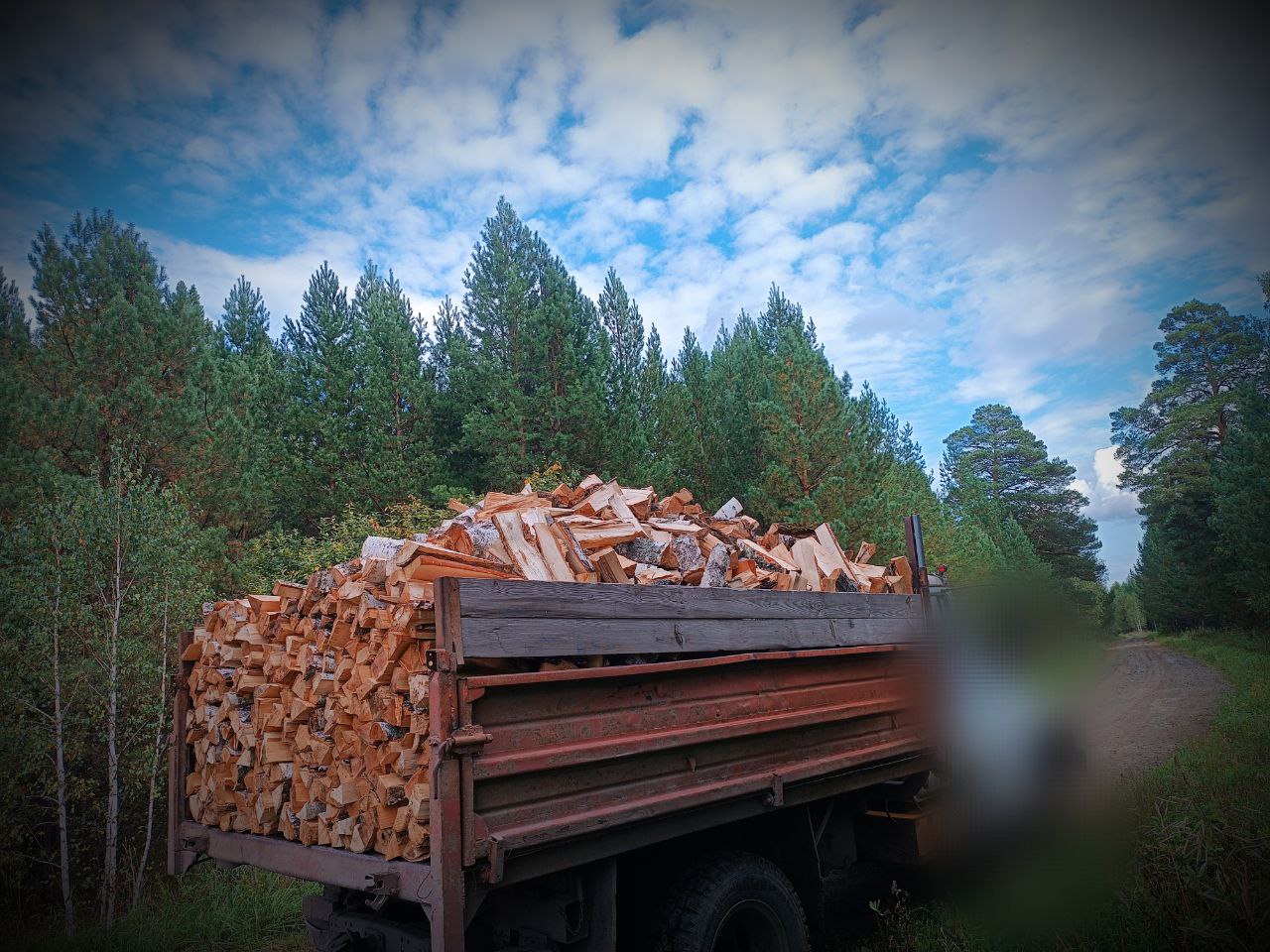 Свежие дровищки из леса - Для дома и дачи в Тюмень - фото 3