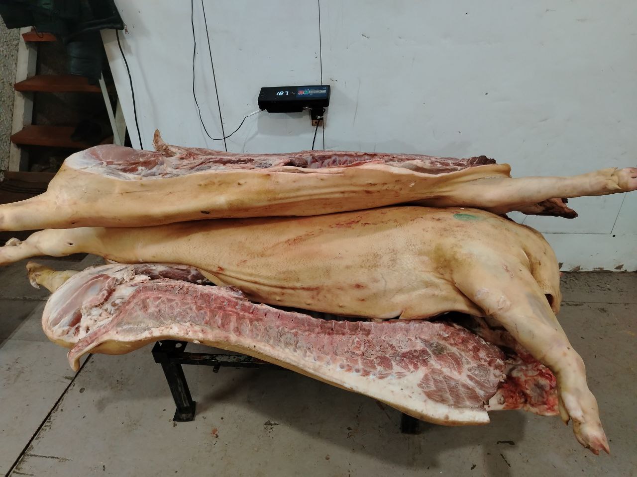 Продажа свежего мяса в Братске - Услуги в Братск - фото 6