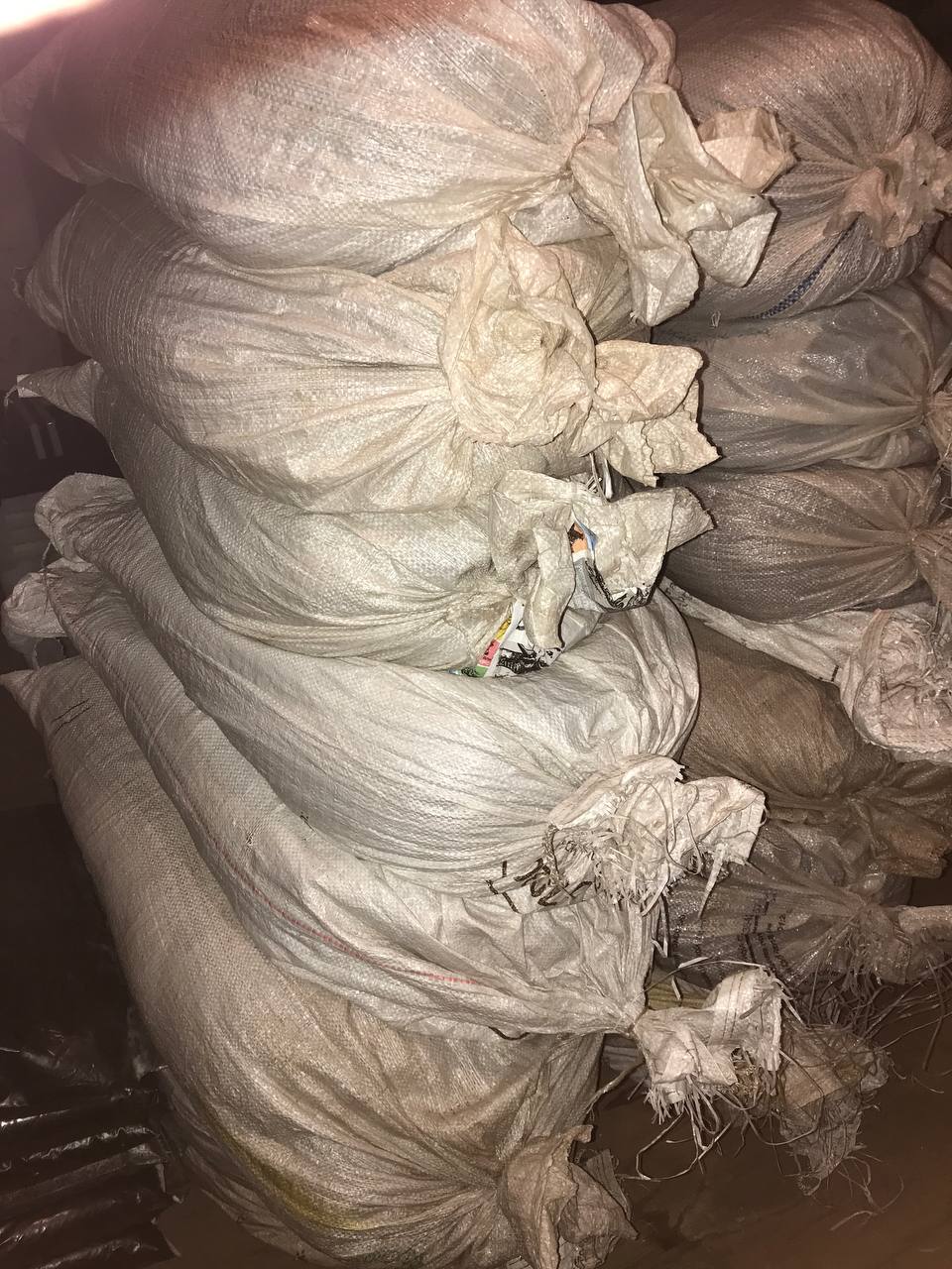 Биогумус концентрат и калифорнийские черви - Для дома и дачи в Братск - фото 2