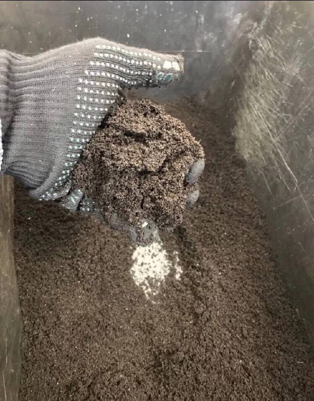 Биогумус концентрат и калифорнийские черви - Для дома и дачи в Братск - фото 3