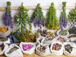 Домашние травы и приправы - Хобби и отдых в Нижневартовск