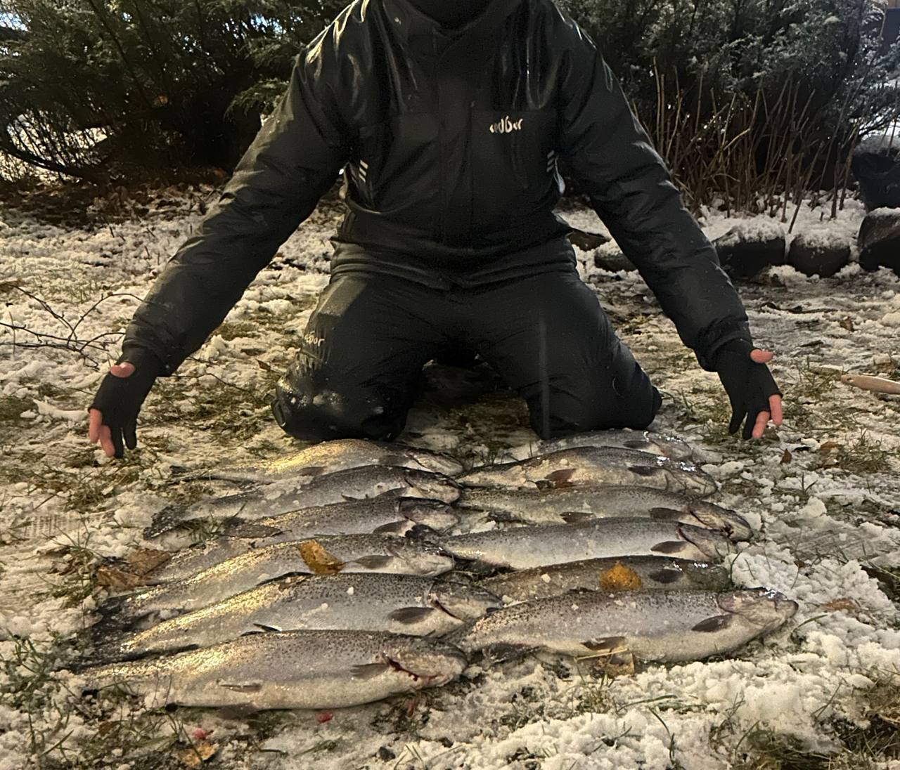 Свежая форель с икрой - Хобби и отдых в Москва