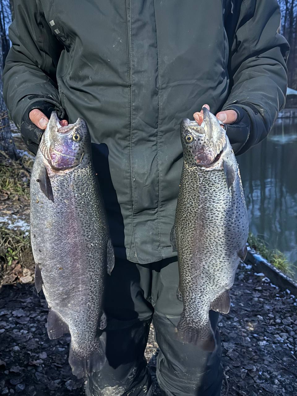 Свежая форель с икрой - Хобби и отдых в Москва - фото 2
