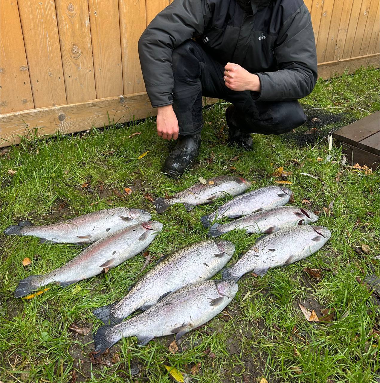 Свежая форель с икрой - Хобби и отдых в Москва - фото 4