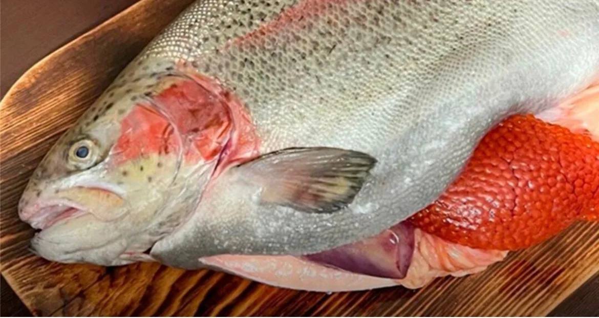 Сбор заявок на рыбу - Хобби и отдых в Оренбург