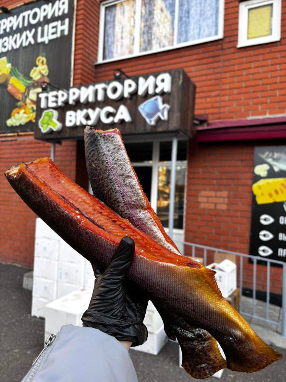 Сбор заявок на рыбу - Хобби и отдых в Оренбург - фото 4