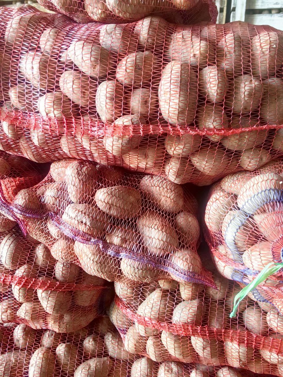 Продам картофель из Шушенского - Для дома и дачи в Абакан