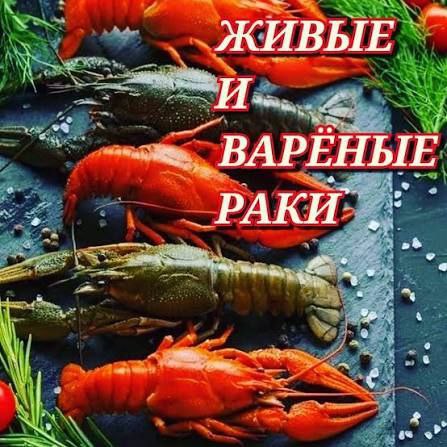 Продам дом с участком и автомобиль Волга - Недвижимость в Самара - фото 3