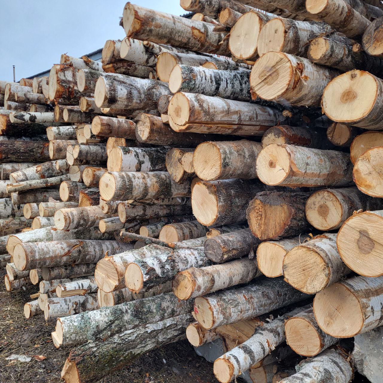 Лучшие берёзовые дрова в городе - частное объявление в Нижний Новгород