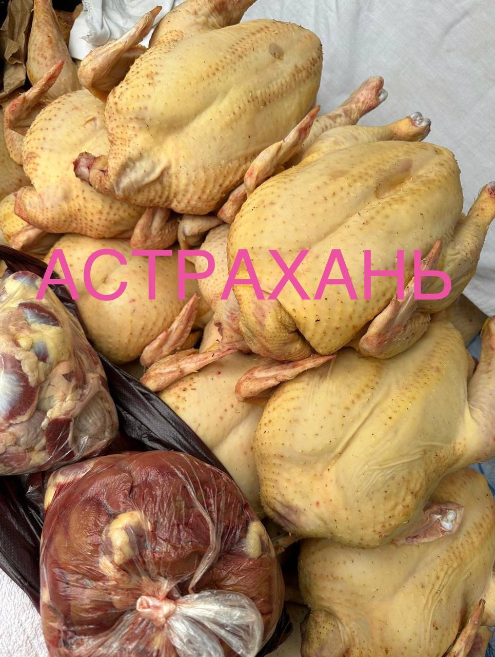 Привоз курей из Дагестана - частное объявление в Астрахань