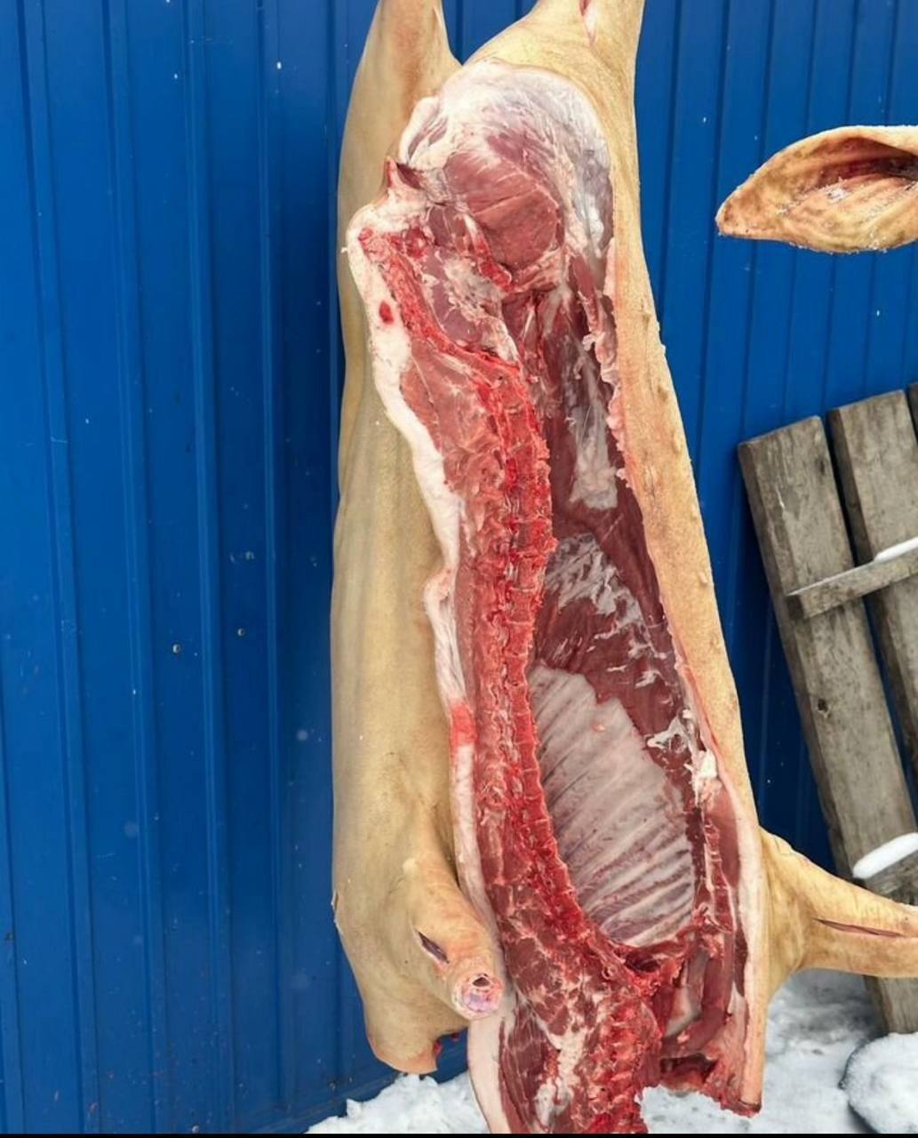 Свежее мясо со своего хозяйства - частное объявление в Иркутск